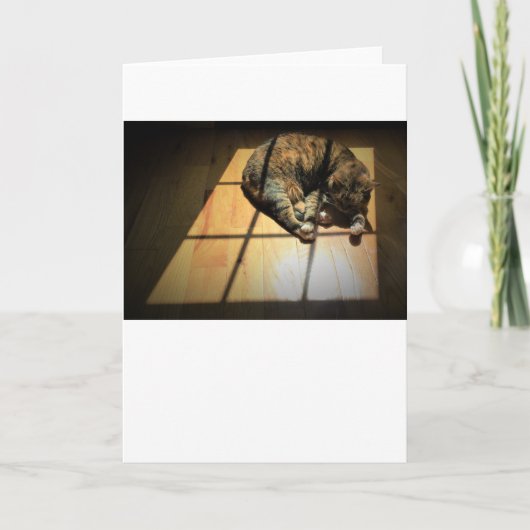 Jours lents, carte (Devant)