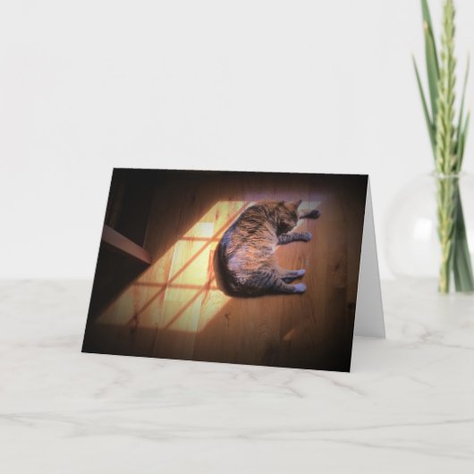 Jours lents, carte (Devant)