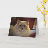 Jours lents, carte (Fleur jaune)