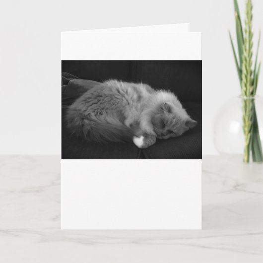 Jours lents, carte (Devant)