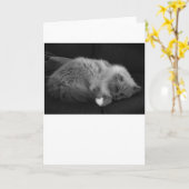 Jours lents, carte (Fleur jaune)