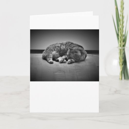 Jours lents, carte (Devant)