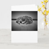 Jours lents, carte (Fleur jaune)