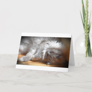 Jours lents, carte