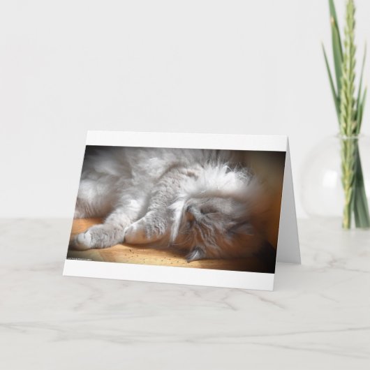Jours lents, carte (Devant)