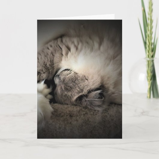 Jours lents, carte (Devant)