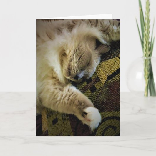 Jours lents, carte (Devant)