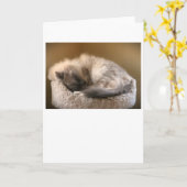 Jours lents, carte (Fleur jaune)