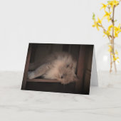 Jours lents, carte (Fleur jaune)