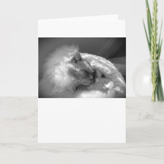 Jours lents, carte (Devant)