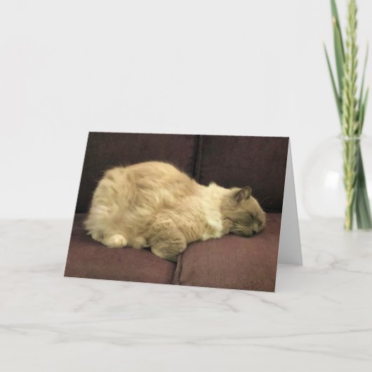 Jours lents, carte (Devant)