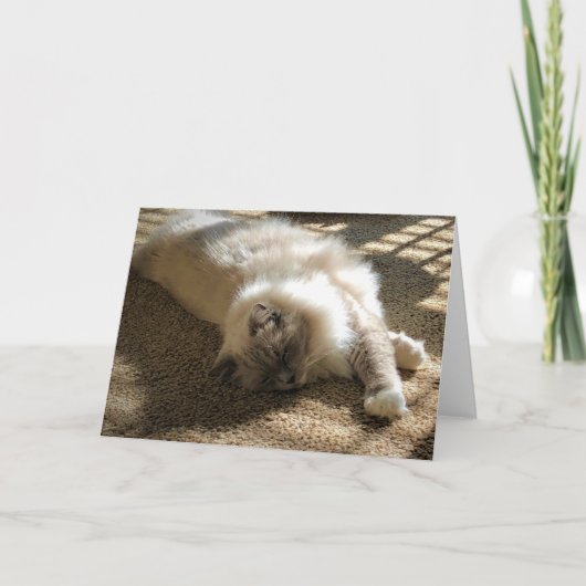 Jours lents, carte (Devant)