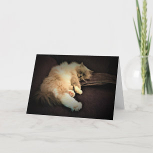 Jours lents, carte