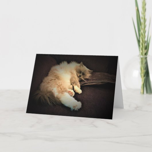 Jours lents, carte (Devant)