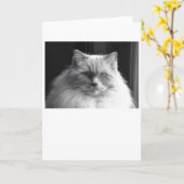 Jours lents, carte (Fleur jaune)