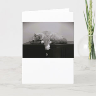 Jours lents, carte