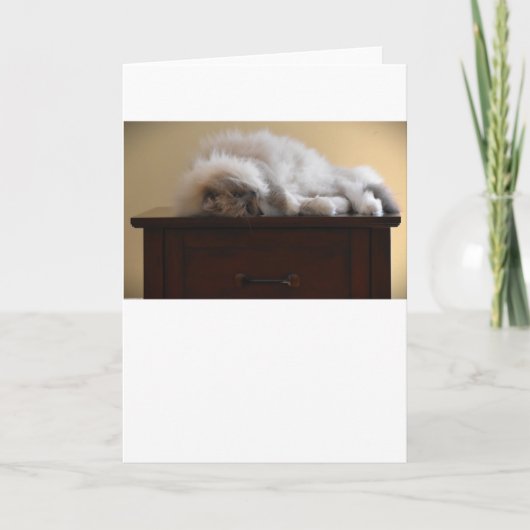 Jours lents, carte (Devant)