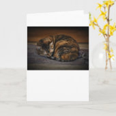 Jours lents, carte (Fleur jaune)