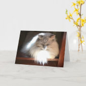 Jours lents, carte (Fleur jaune)