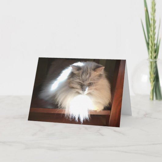 Jours lents, carte (Devant)