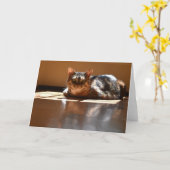 Jours lents, carte (Fleur jaune)