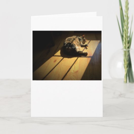 Jours lents, carte (Devant)