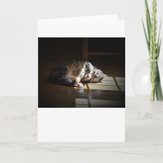 Jours lents, carte (Devant)