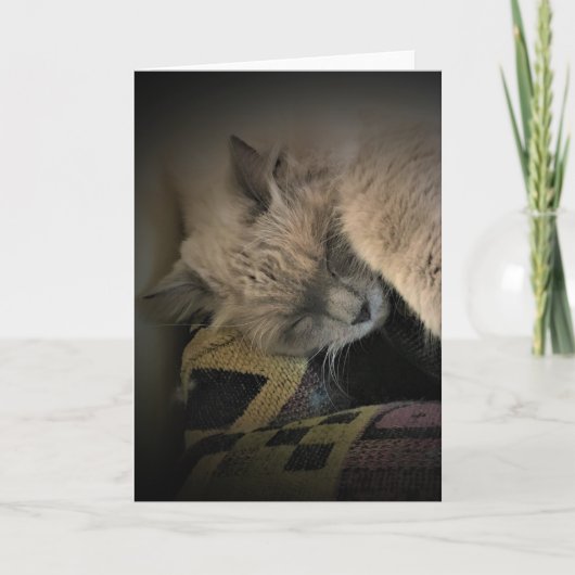 Jours lents, carte (Devant)