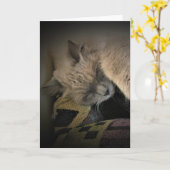 Jours lents, carte (Fleur jaune)