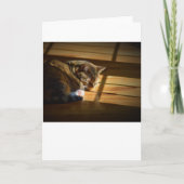 Jours lents, carte (Devant)