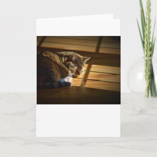 Jours lents, carte (Devant)