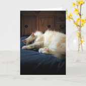 Jours lents, carte (Fleur jaune)