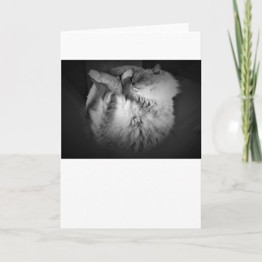 Jours lents, carte (Devant)