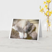 Jours lents, carte (Fleur jaune)