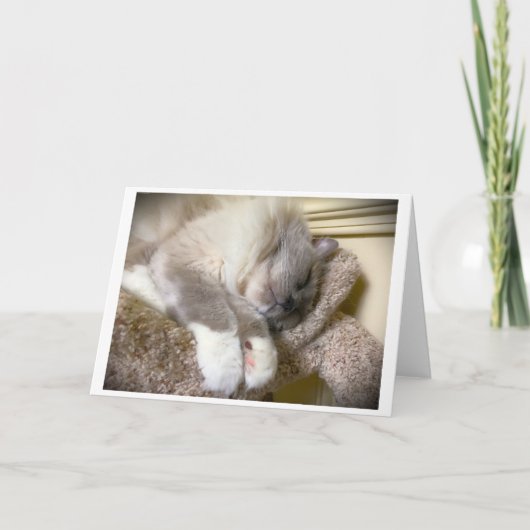 Jours lents, carte (Devant)