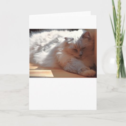 Jours lents, carte (Devant)