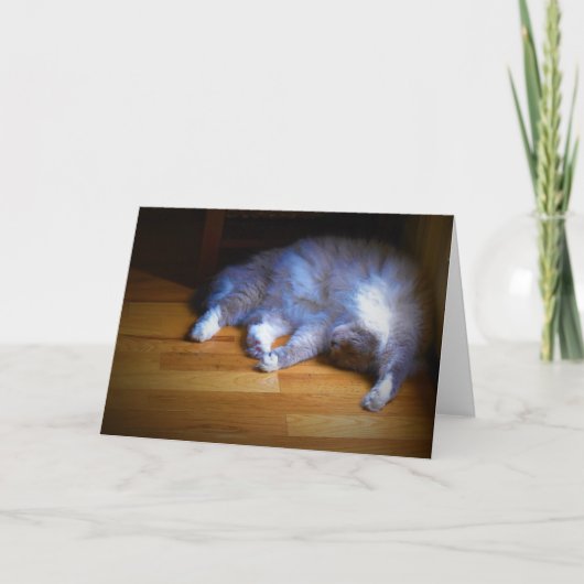 Jours lents, carte (Devant)