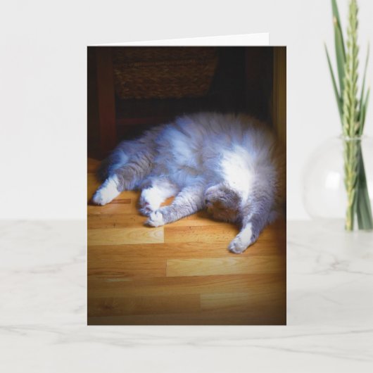 Jours lents, carte (Devant)