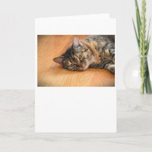Jours lents, carte