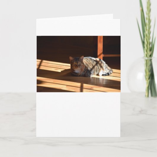 Jours lents, carte (Devant)
