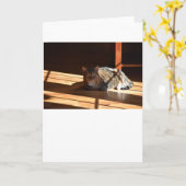 Jours lents, carte (Fleur jaune)