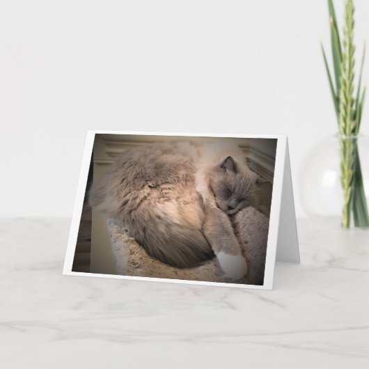 Jours lents, carte (Devant)
