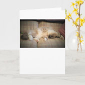 Jours lents, carte (Fleur jaune)