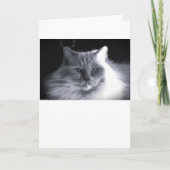 Jours lents, carte (Devant)