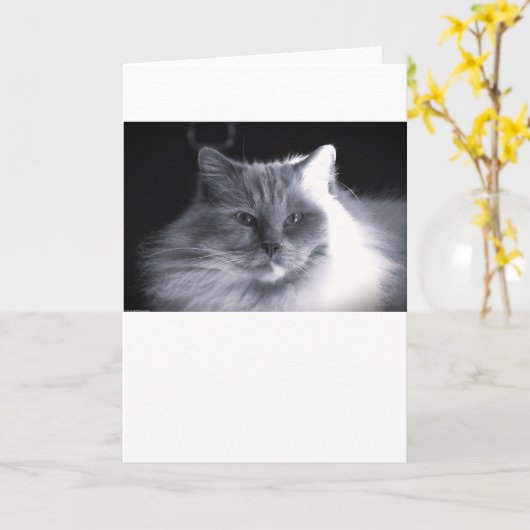 Jours lents, carte (Fleur jaune)