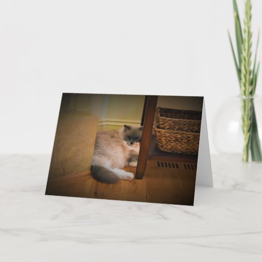 Jours lents, carte (Devant)