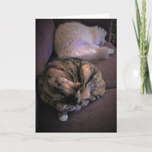 Jours lents, carte (Devant)