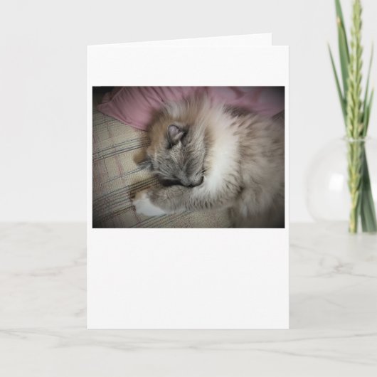 Jours lents, carte (Devant)