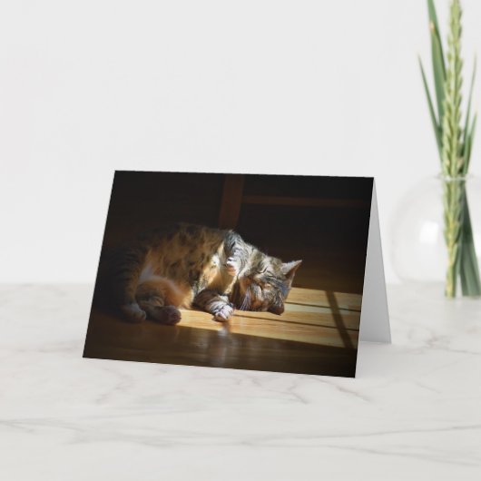 Jours lents, carte (Devant)