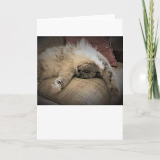 Jours lents, carte (Devant)